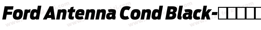 Ford Antenna Cond Black字体转换